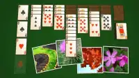 Solitaire Plants Screen Shot 9