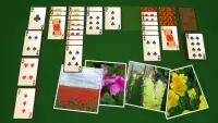 Solitaire Plants Screen Shot 1