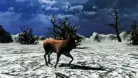 Deer Hunting Sniper Game 3D Screen Shot 0