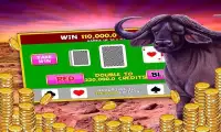 Wild Buffalo - Vegas Jackpot Screen Shot 12
