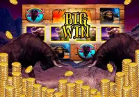 Wild Buffalo - Vegas Jackpot Screen Shot 5