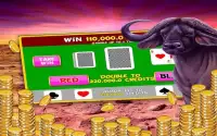 Wild Buffalo - Vegas Jackpot Screen Shot 2
