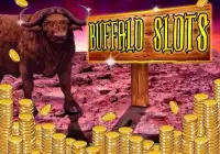 Wild Buffalo - Vegas Jackpot Screen Shot 9