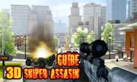 Guide, - 3D Sniper Assassin Screen Shot 1