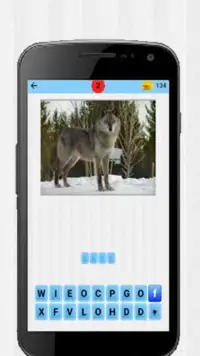 Animal Quiz Screen Shot 2