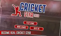Cricket Star 2016 World Cup Screen Shot 3