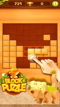 wood block puzzle : ब्लॉक पहेली Screen Shot 3