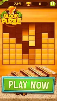 wood block puzzle : ब्लॉक पहेली Screen Shot 0