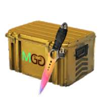 Case simulator CS: GO with real things