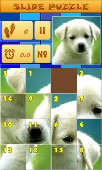 Fast Puzzle 11 Screen Shot 3