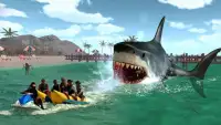 Angry Shark Attack Screen Shot 4