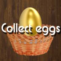 New egg collection 2017