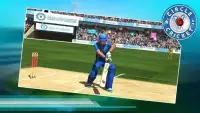 Circle Of Cricket Screen Shot 3