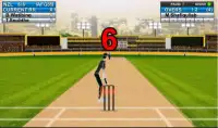 Domestic Cricket Tournament Screen Shot 1