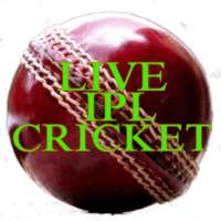 Live Cricket Streming 24