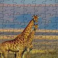 Jigsaw Puzzles - Lost Wild Screen Shot 5