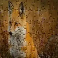 Jigsaw Puzzles - Lost Wild Screen Shot 1