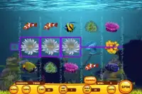 Yellow Fish Slot Screen Shot 6