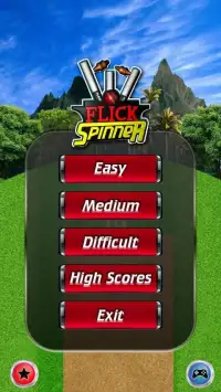 Flick Spinner Cricket 3D Screen Shot 2