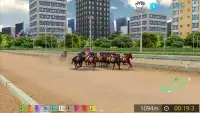 Pick Horse Racing Screen Shot 5