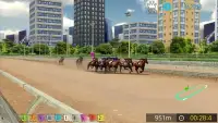 Pick Horse Racing Screen Shot 4