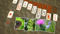 Solitaire Plants Screen Shot 6