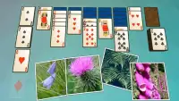 Solitaire Plants Screen Shot 1