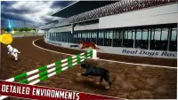 Real Dog Racing Screen Shot 27
