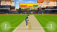 Cricket Mania 2017 Screen Shot 6