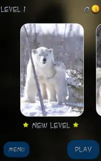 Hidden Pieces: Polar Bears Screen Shot 3