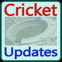 Live Cricket Updates Screen Shot 0