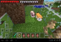 Pocket Pet Mod For Minecraft Screen Shot 1