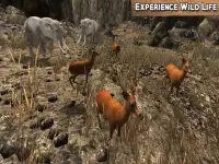 Wild Life Animals Adventure Screen Shot 0