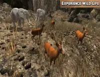 Wild Life Animals Adventure Screen Shot 3