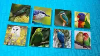 Wordsearch Revealer - Birds Screen Shot 3