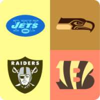 Guess The NFL Football Teams