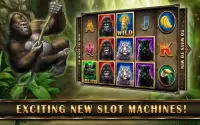 Slots Super Gorilla Free Slots Screen Shot 8