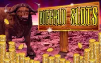 Wild Buffalo - Vegas Jackpot Screen Shot 4