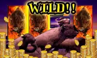 Wild Buffalo - Vegas Jackpot Screen Shot 11