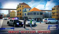Border Police Adventure Sim 3D Screen Shot 14