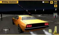 US Car Driving School Test Sim Screen Shot 13