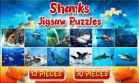 Sharks Jigsaw Puzzles Game kid Screen Shot 7