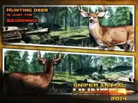 Jungle Animal Sniper Hunter Screen Shot 3