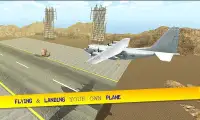 Аэропорт грузовой самолет Горо Screen Shot 17