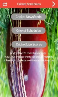 Cricket Schedule 2017 & Scores Screen Shot 6
