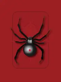 Spider Solitaire simple Screen Shot 3