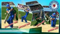 Circle Of Cricket Screen Shot 1