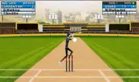 Domestic Cricket Tournament Screen Shot 3