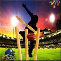 Domestic Cricket Tournament
