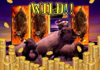 Wild Buffalo - Vegas Jackpot Screen Shot 6